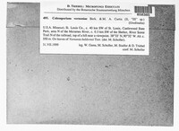 Image Associated With the Occurence